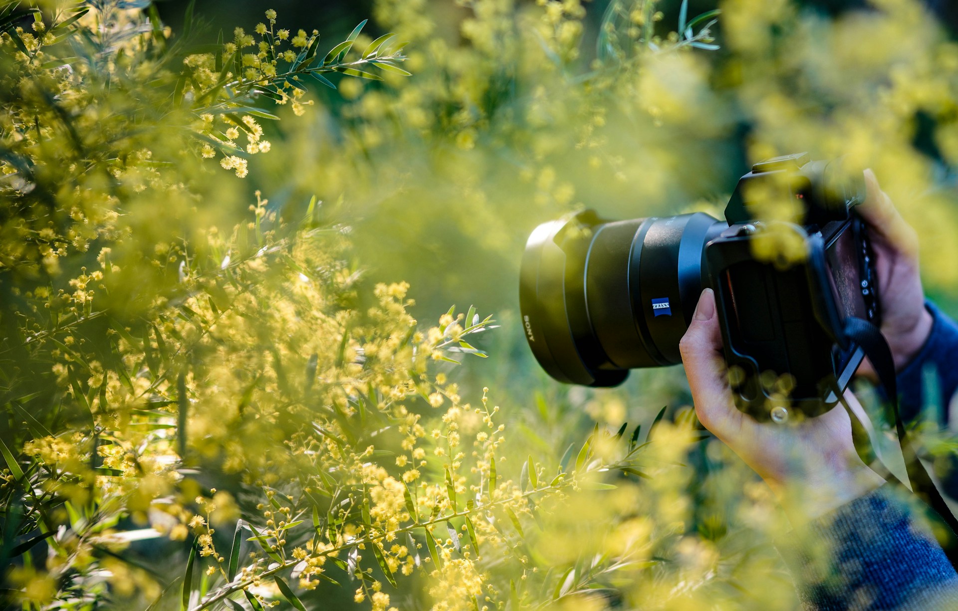 Unleashing the Power of Tech Gadgets: A Journey into the Future